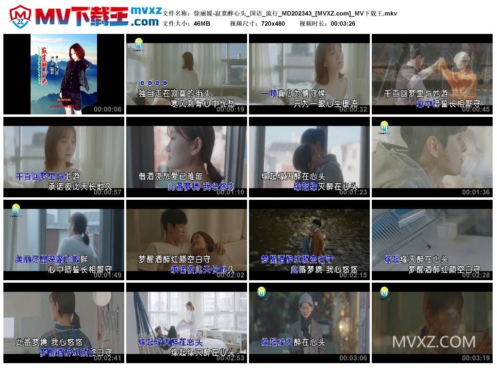 徐丽媛-寂寞醉心头_国语_流行_MD202343